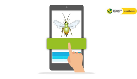 Free aphid text service